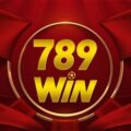 789Win91 com – Nạp tiền Chủ Nhật hàng tuần nhận thêm 8%