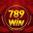 789Win100 com – Tải ngay 1.1.1.1 truy cập thả ga và cá cược